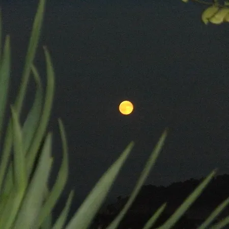 Haus Sofis Apartman *