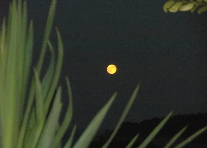 Haus Sofis Διαμέρισμα *